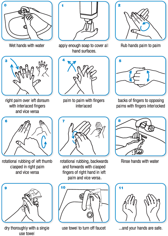 steps for proper handwashing
